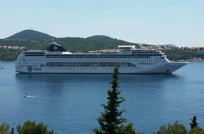 Maximus Apartamento *